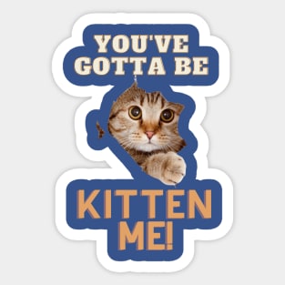 You've Gotta Be Kitten Me! Sticker